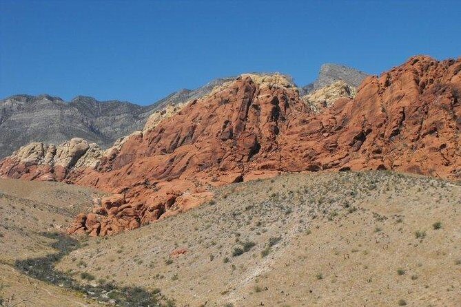 Guided Mountain Bike Tour of Mustang Trail in Red Rock Canyon - The Experience and the Reviews