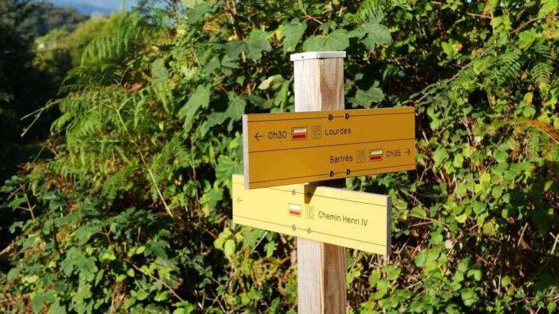 Guided Nature Walk to Bartrès with a Pyrenean Mountain Dog - Key Points