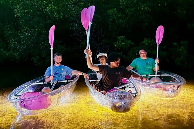 Guided Night Kayak Adventure Tour in Luminous Lagoon - Is It Worth The Price?