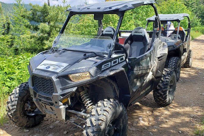 Guided Off-Road Vehicle Tours in North Idaho Forests - Is It Worth the Price?