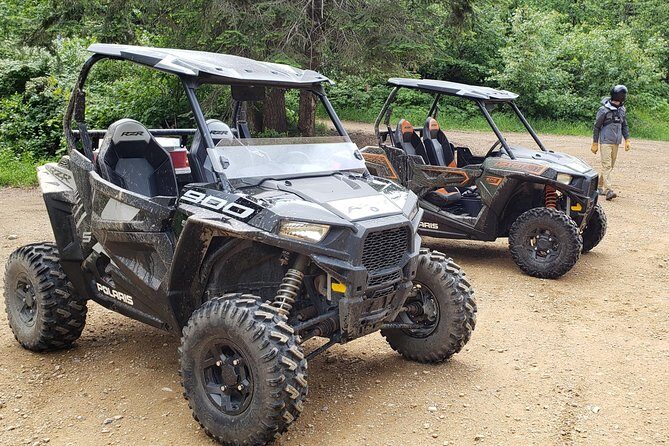 Guided Off-Road Vehicle Tours in North Idaho Forests - Who Should Consider This Tour?