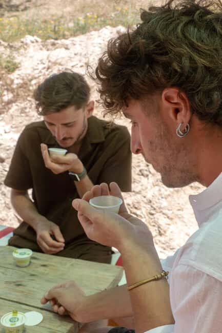 Guided oil tasting with tour of olive grove in Agrigento - What the Tour Entails
