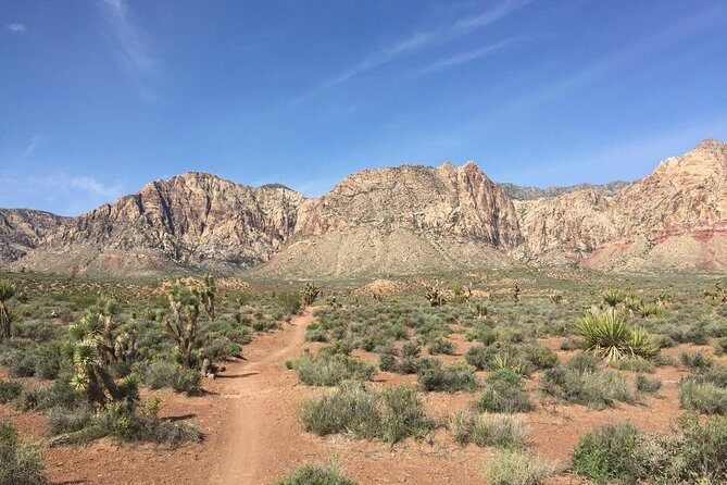 Guided or Self-Guided Road Bike Tour of Red Rock Canyon - Who Should Consider This Tour?