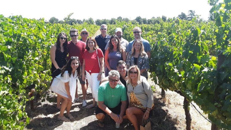 Guided Private Wine Tour to Napa and Sonoma Wine Country - What the Reviews Say