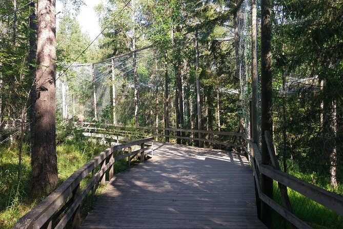 Guided Ranua Wildlife Park tour with Lunch, Small group adventure - Who Should Consider This Tour?