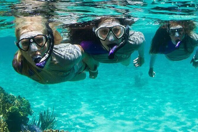 Guided Reef Snorkeling Tour in Pompano Beach - Key Points