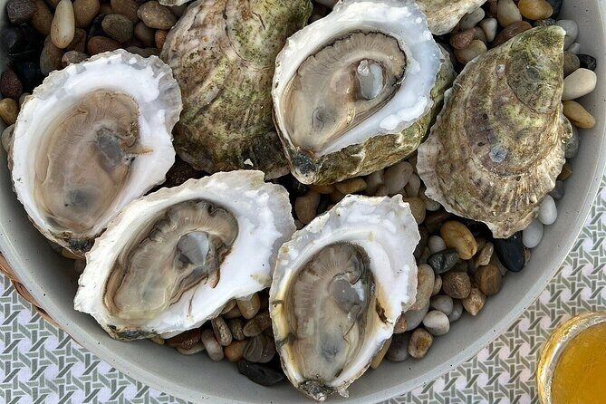 Guided Rooftop Oyster Tasting with an Oyster Sommelier - Exploring the Guided Rooftop Oyster Tasting with an Oyster Sommelier: A Deep Dive