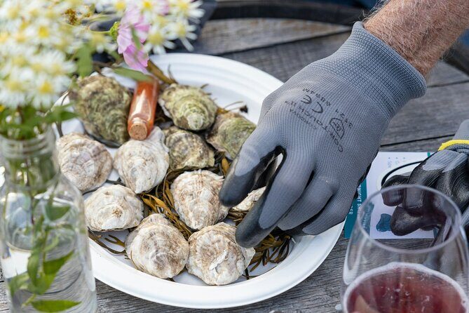 Guided Rooftop Oyster Tasting with an Oyster Sommelier - Final thoughts