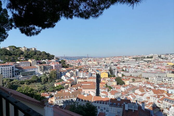 Guided Running Tour in Historic Lisbon - What to Expect from the Itinerary