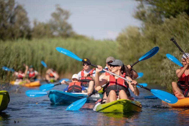 Guided Safari Kayaking Tour in Neretva Valley - Who Is This Tour Best For?