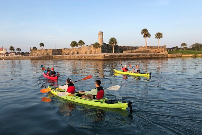 Guided Salt Marsh Kayak Tour - A Closer Look at the Guided Salt Marsh Kayak Tour in St. Augustine