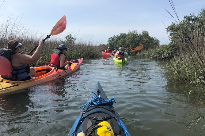 Guided Salt Marsh Kayak Tour - Considerations Before Booking