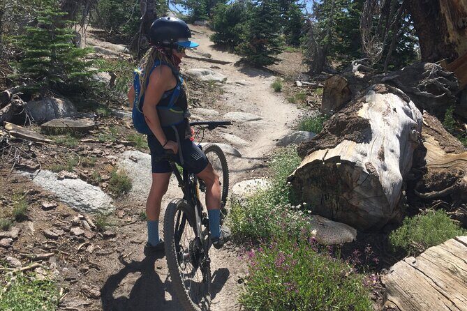 Guided Scenic Bike Experience above Lake Tahoe's East Shore - Final Thoughts