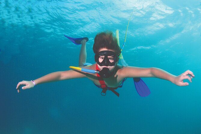 Guided Scuba Diving in Cabo Pulmo - Discovering the Underwater Wonders of Cabo Pulmo: A Practical Review