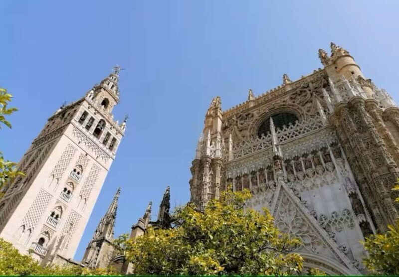 Guided Seville Sightseeing & Food Tour with Rooftop Bar - Key Points