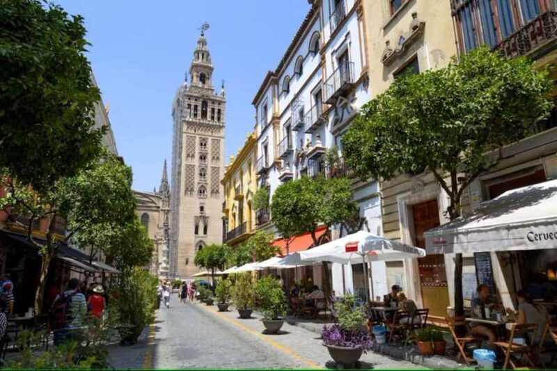 Guided Seville Sightseeing & Food Tour with Rooftop Bar - Real-World Insights from Reviews