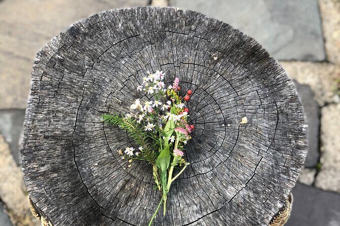 Guided Shared Group Forest Bathing Session in Serene Woodland Park - Exploring the Guided Shared Group Forest Bathing Session in Serene Woodland Park