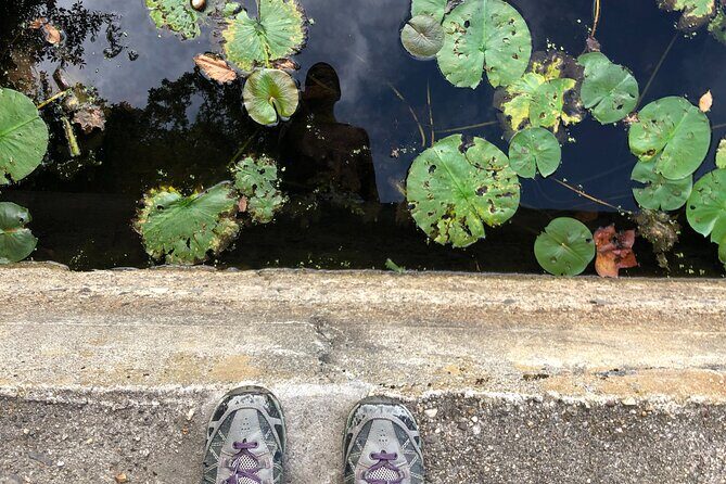Guided Shared Group Forest Bathing Session in Serene Woodland Park - The Experience in Blue Mountain Park