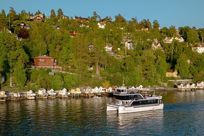 Guided Sightseeing Cruise on Oslofjord by Premium Silent Boat - What Could Be Better?