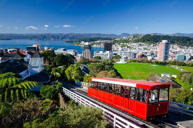 Guided Small Group Walking Tour in Wellington - Botanical Gardens: A Natural Escape