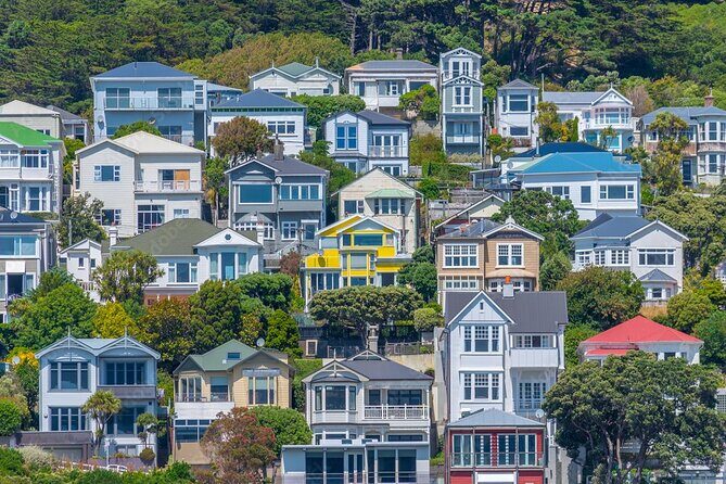 Guided Small Group Walking Tour in Wellington - Ending at the Museum of New Zealand Te Papa Tongarewa