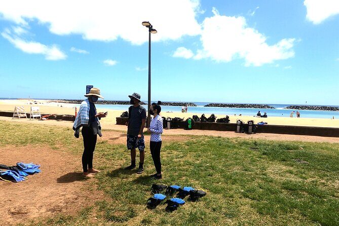 Guided Snorkel Tour for Beginners in Honolulu - How the Tour Compares in Value