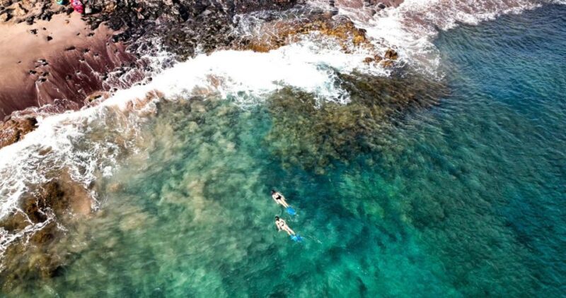 Guided Snorkeling Experience - Exploring the Guided Snorkeling Experience in Lanzarote: A Friendly Review