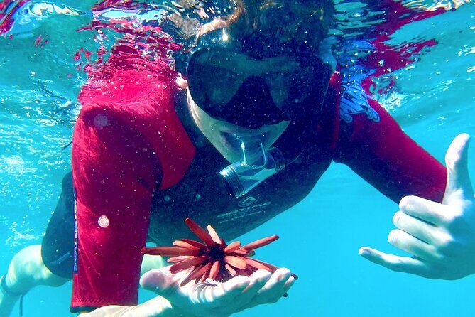 Guided Snorkeling for Beginners with Flotation Wetsuit - What to Expect from the Tour