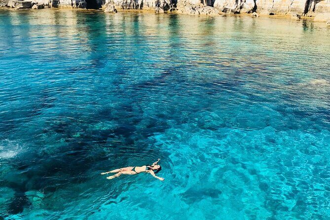 Guided snorkeling trip to the turtles in Protaras - Pricing and Value: Is it Worth It?