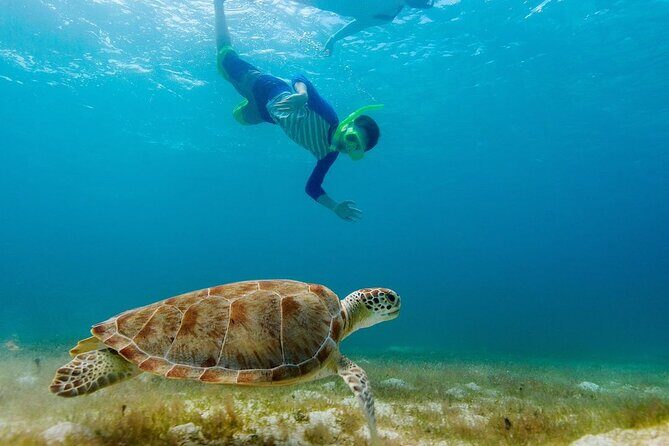 Guided snorkeling trip to the turtles in Protaras - The Group Size and Overall Atmosphere
