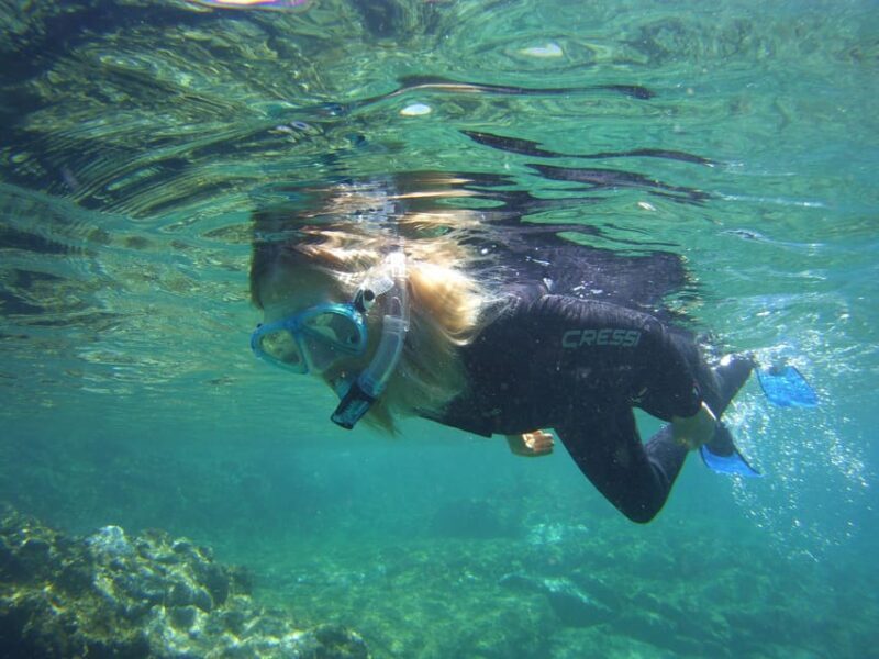 Guided Snorkelling experience in south of Gran Canaria - A Practical Look at the Snorkeling Tour