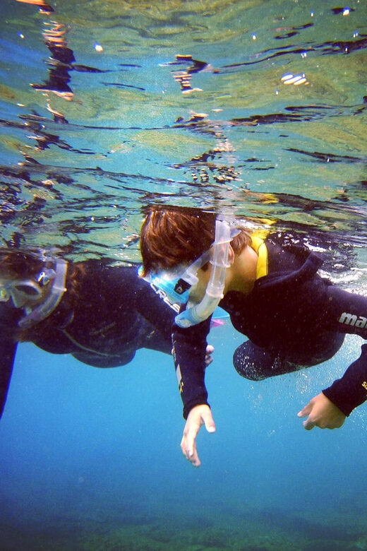 Guided Snorkelling experience in south of Gran Canaria - Whats Included and Whats Not