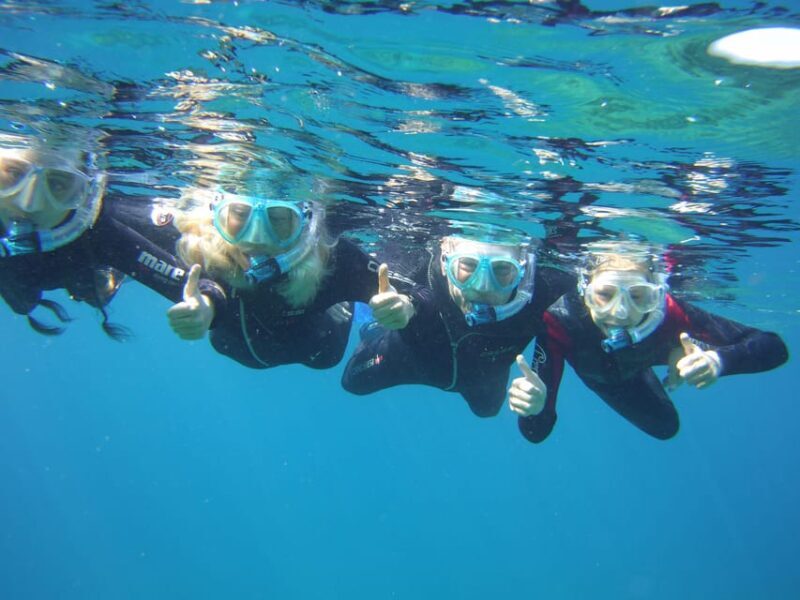 Guided Snorkelling experience in south of Gran Canaria - The Value of This Experience