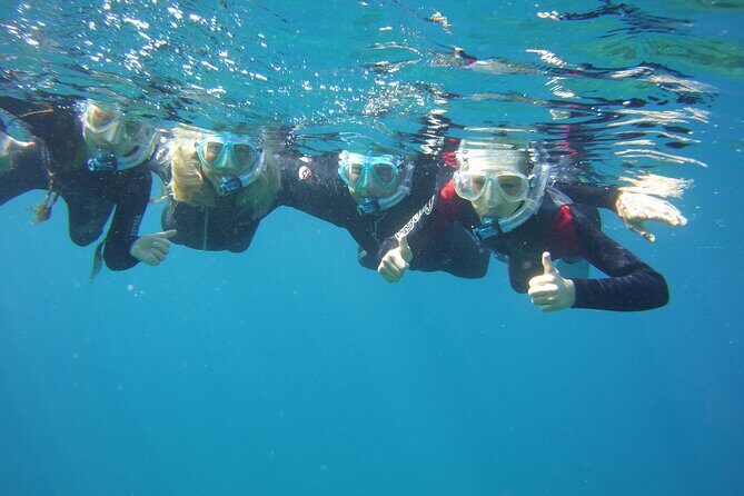 Guided Snorkelling Experience in South of Gran Canaria - The Details of the Tour