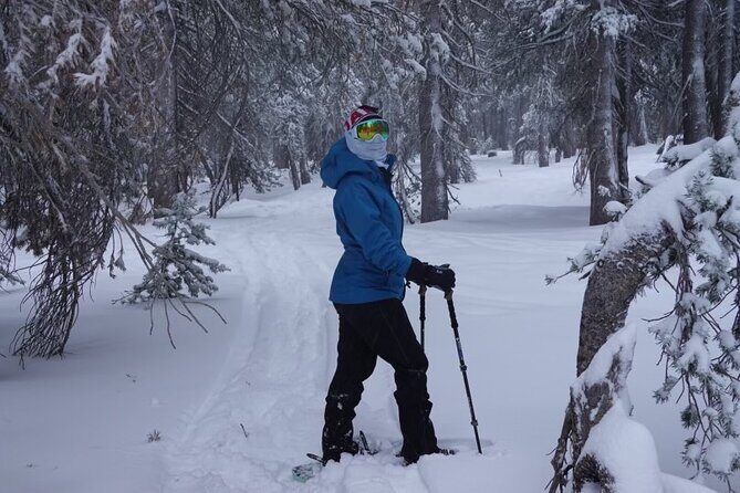 Guided Snowshoe Experience in Lake Tahoe - Final Thoughts