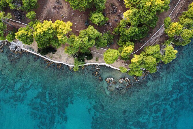 Guided Speedboat Tour with Food, Oil & Wine Tasting - Key Points