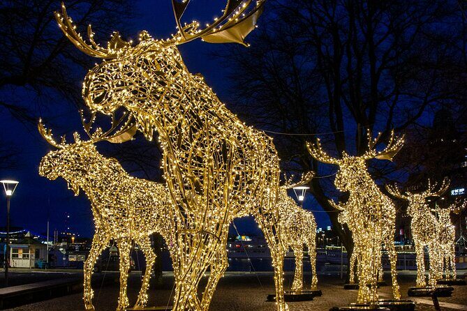 Guided Stockholm Christmas Tour - The Detailed Breakdown of the Itinerary