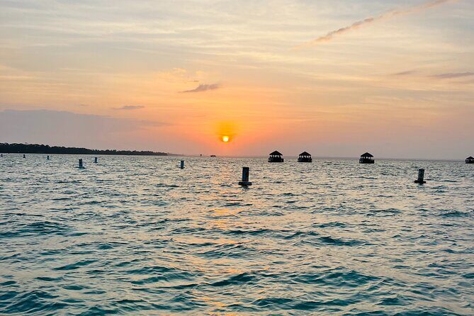 Guided Sunset and Dolphin Cruise Non Private in Destin, FL - The Itinerary in Detail