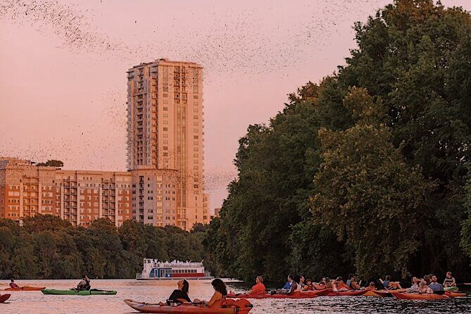Guided Sunset Bat Kayak Tour in Austin - The Itinerary Breakdown