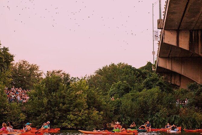 Guided Sunset Bat Kayak Tour in Austin - What to Expect from the Experience