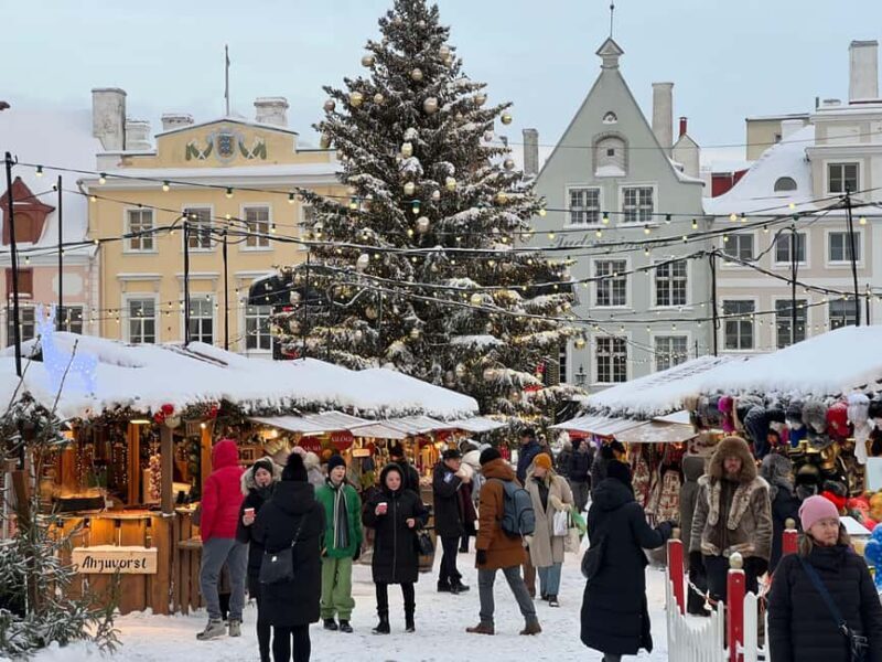 Guided Tallinn Old Town Winter Walk - The Practical Side: Price, Group Size, and Tips