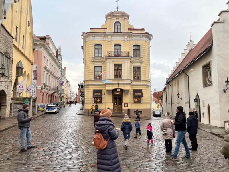Guided Tallinn Old Town Winter Walk - Who Is This Tour Best For?