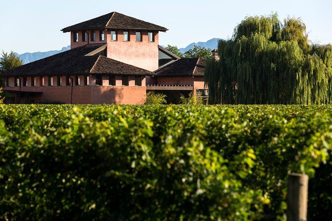 Guided tasting with our team - A Thoughtful Look at a Private Wine Tasting in Friuli-Venezia Giulia