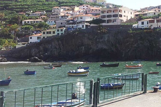 Guided Toboggan Ride and Madeira Wine Tasting Tour - Practical Tips