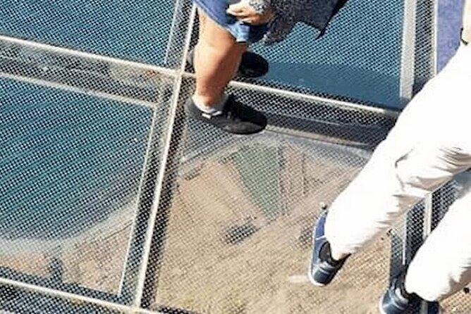 Guided Toboggan Ride and Madeira Wine Tasting Tour - The Sum Up