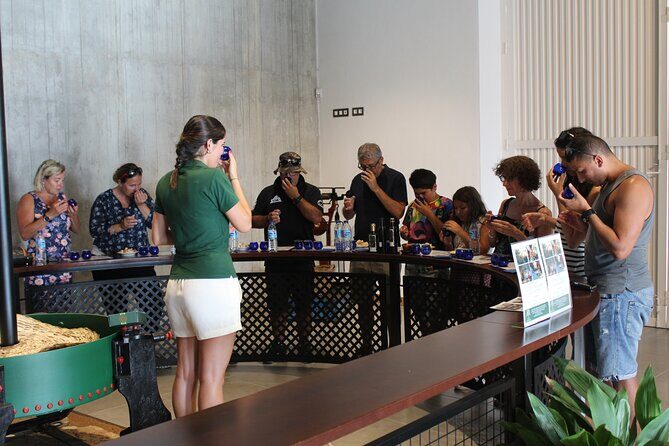 Guided tour and olive oil tasting in Alhaurin el Grande (Málaga) - Key Points