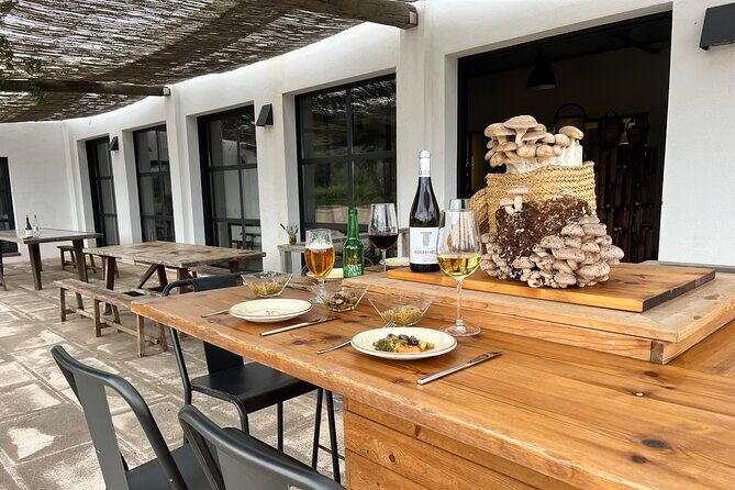 Guided tour and tasting in mushroom cultivation - Exploring Menorca’s Hidden Gem: The Mushroom Cultivation Tour