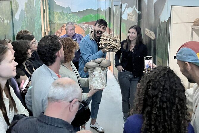 Guided tour and tasting in mushroom cultivation - Practical Details and Tips