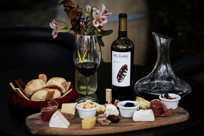 Guided tour and tasting of 4 wines at Viñedo Dos Búhos - A Closer Look at the Guided Tour and Tasting of 4 Wines at Viñedo Dos Búhos