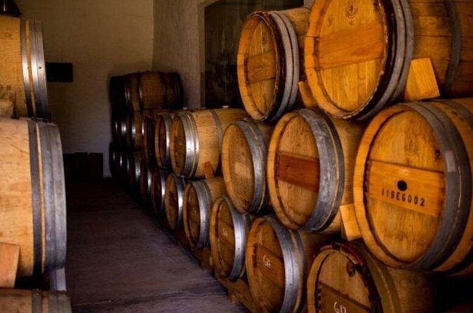 Guided tour and tasting of 4 wines at Viñedo Dos Búhos - Who Will Love This Tour?